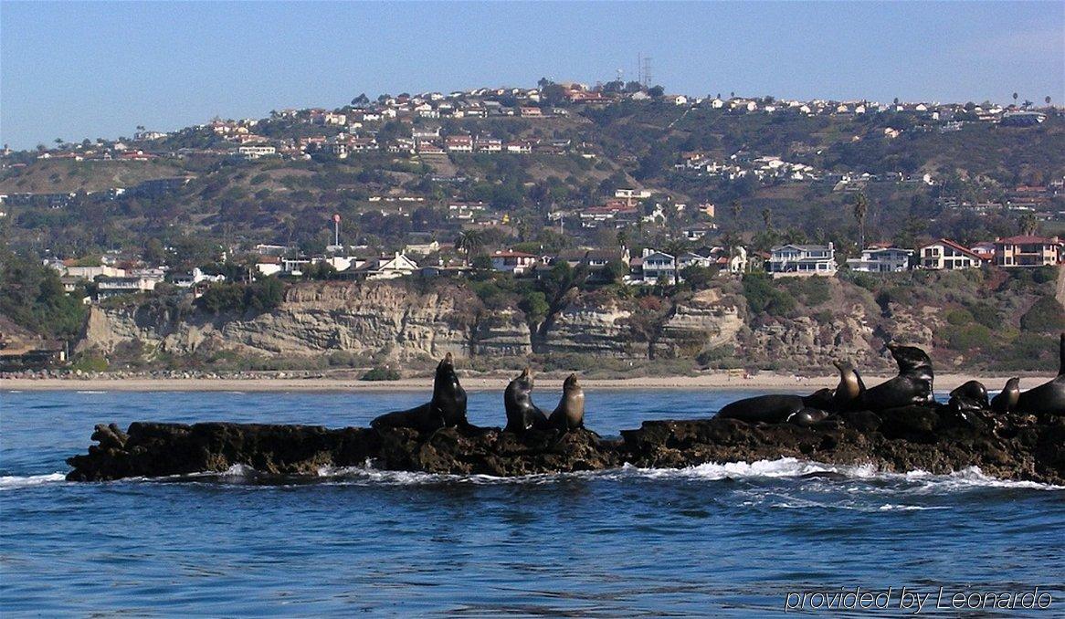 Holiday Inn Express San Clemente N - Beach Area By Ihg Exterior photo
